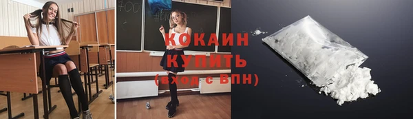 винт Верея
