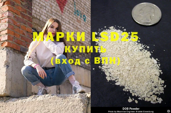 винт Верея