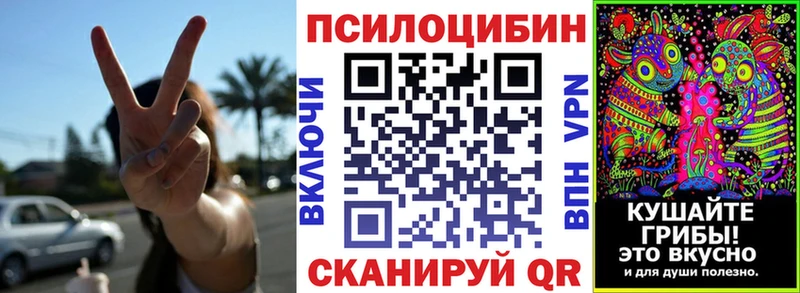 Купить закладки  Кудрово  Галлюциногенные грибы ЛСД 
