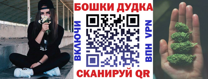 Купить закладки  Кудрово  Канабис ГИДРОПОН 
